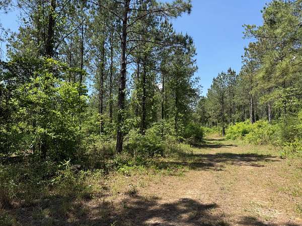 251 Acres of Recreational Land for Sale in Blakely, Georgia