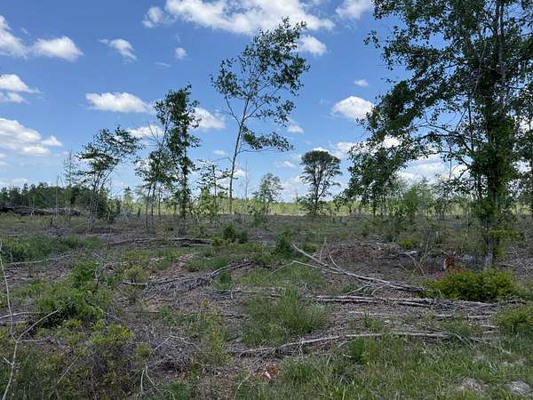 255 Acres of Recreational Land for Sale in Jakin, Georgia