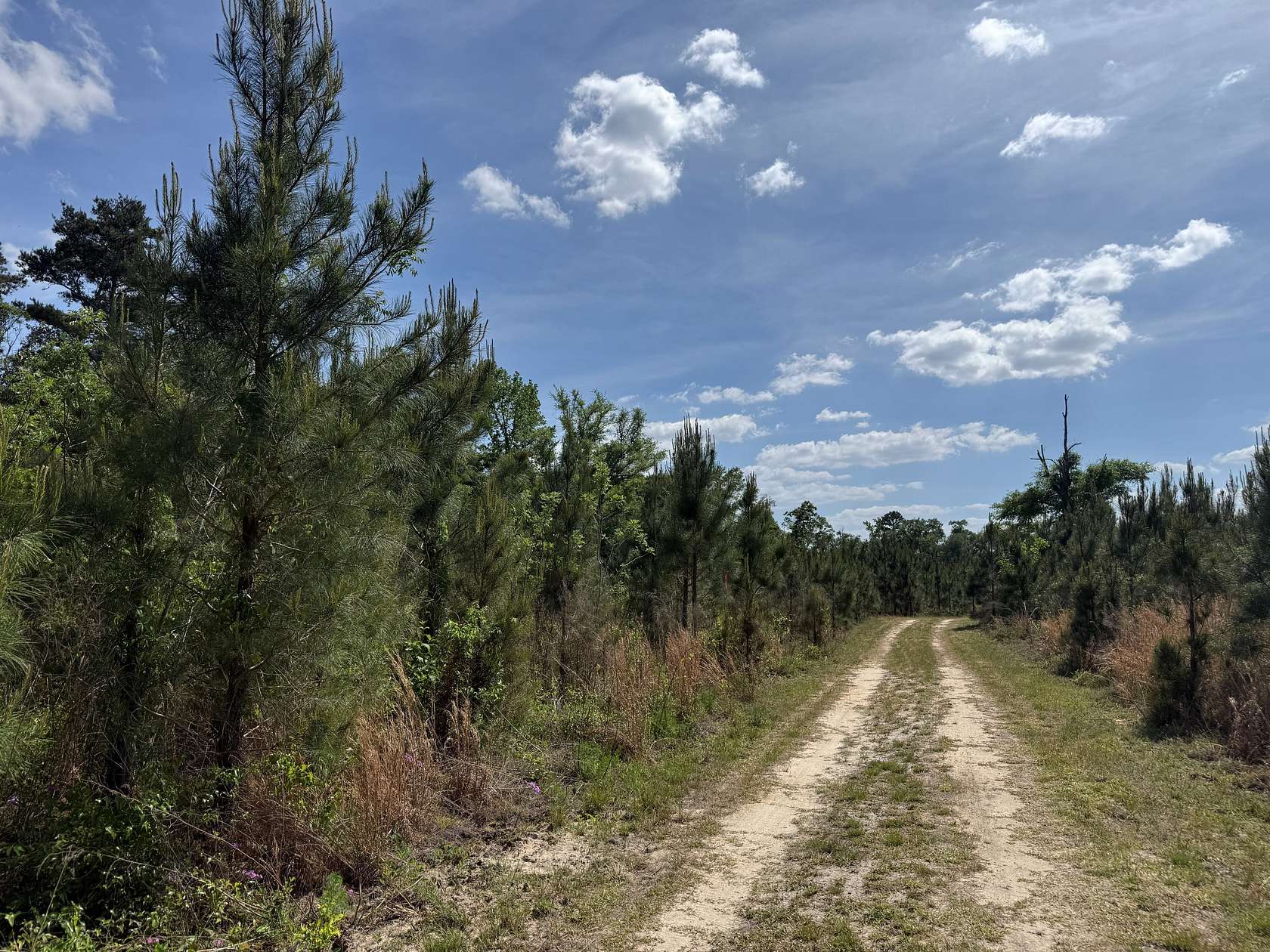 143 Acres of Recreational Land for Sale in Jakin, Georgia