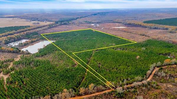 50 Acres of Recreational Land for Sale in De Kalb, Texas