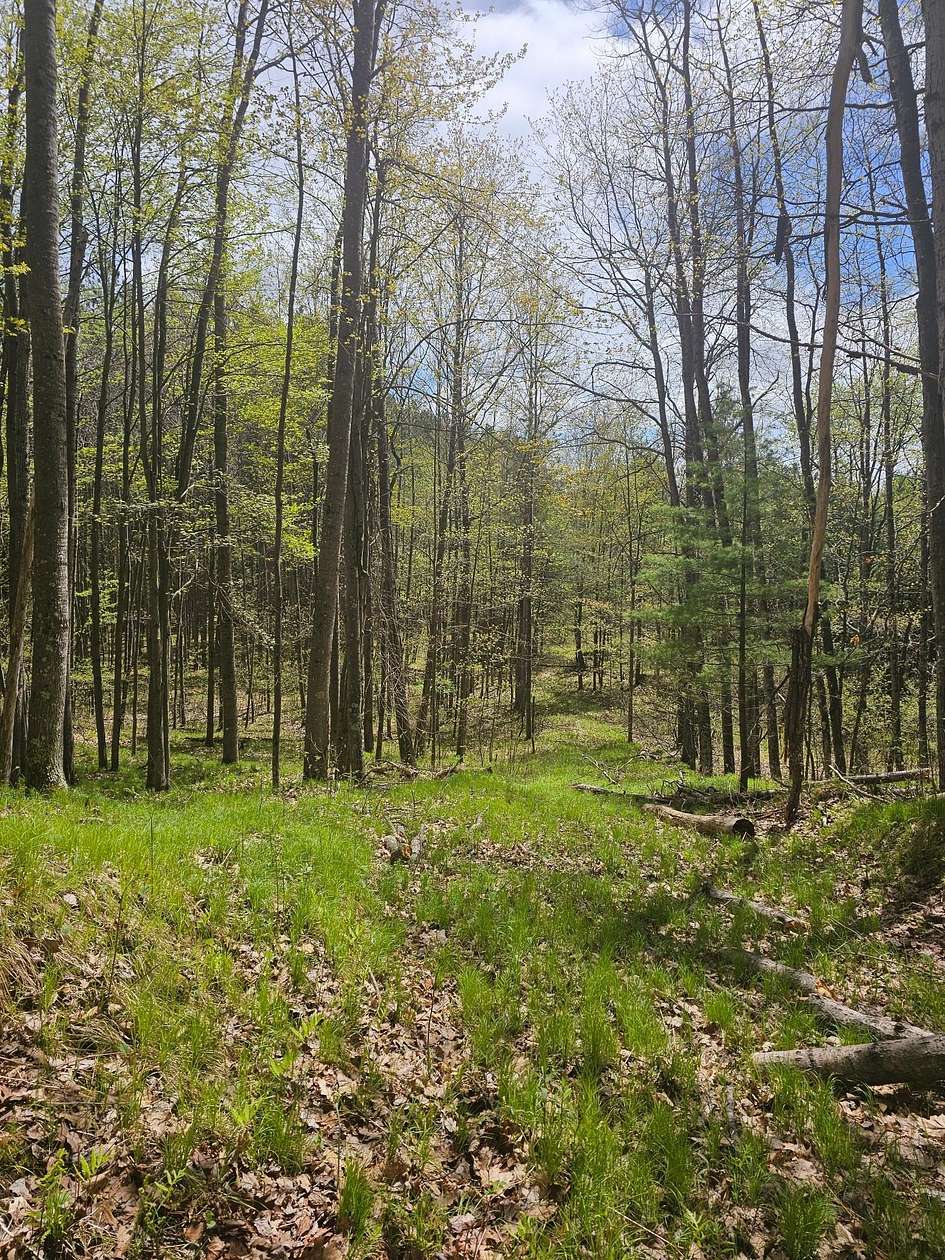 0.33 Acres of Land for Sale in Lakewood, Wisconsin