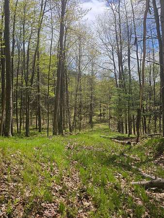 0.33 Acres of Land for Sale in Lakewood, Wisconsin