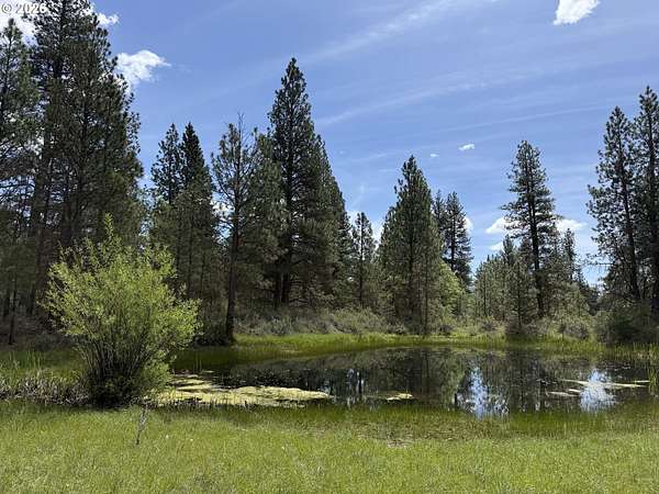 20 Acres of Land for Sale in Goldendale, Washington