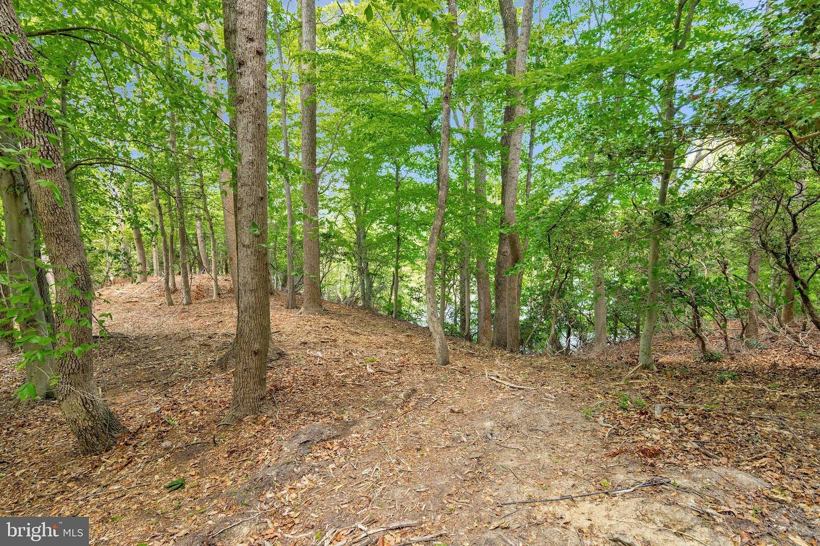 0.62 Acres of Residential Land for Sale in Lusby, Maryland