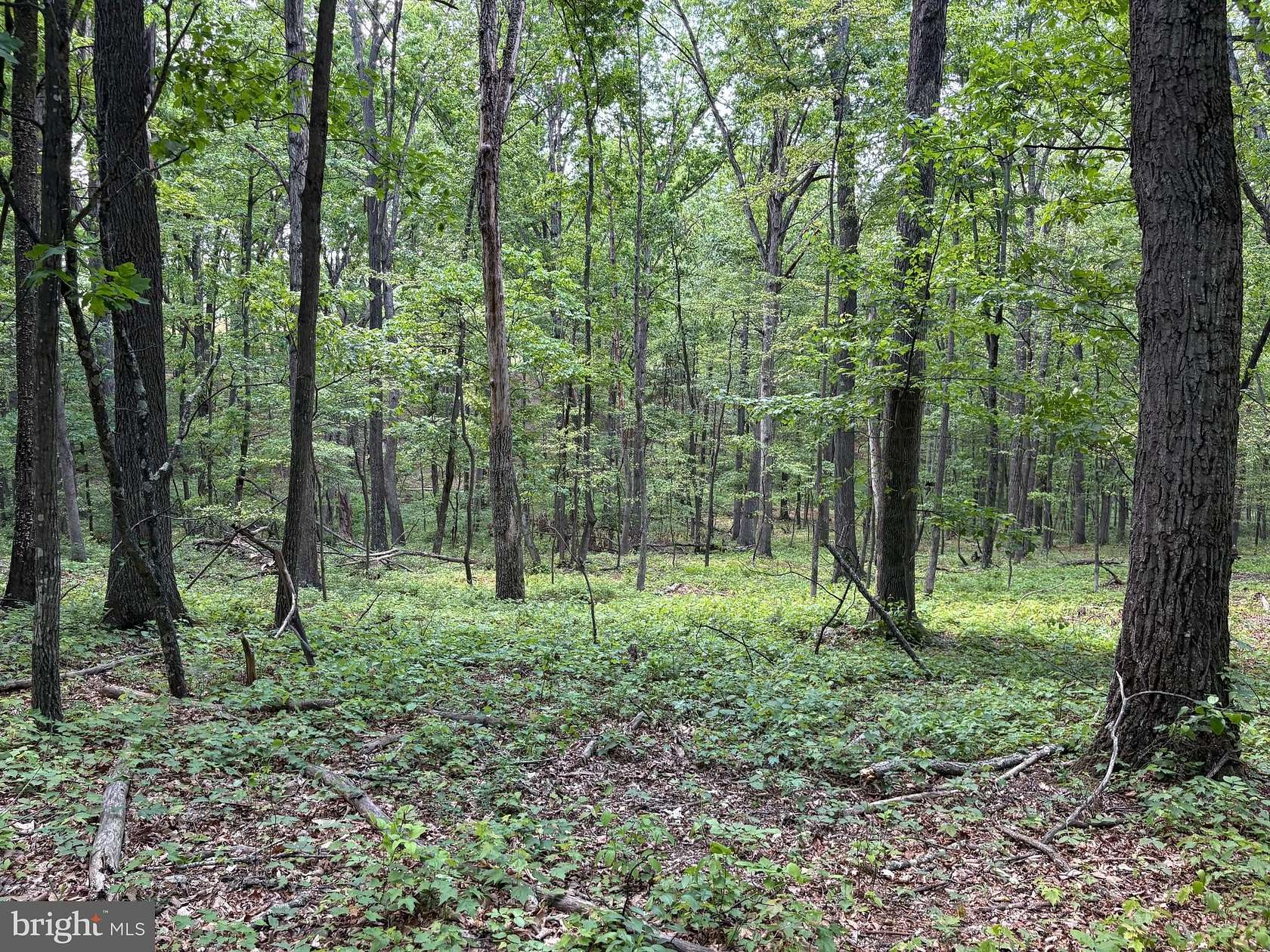2 Acres of Land for Sale in Augusta, West Virginia