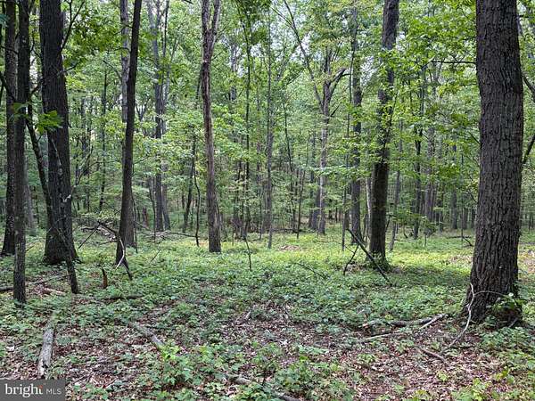 2 Acres of Land for Sale in Augusta, West Virginia