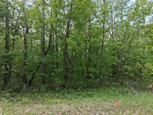 Land for Sale in Elmira, Michigan