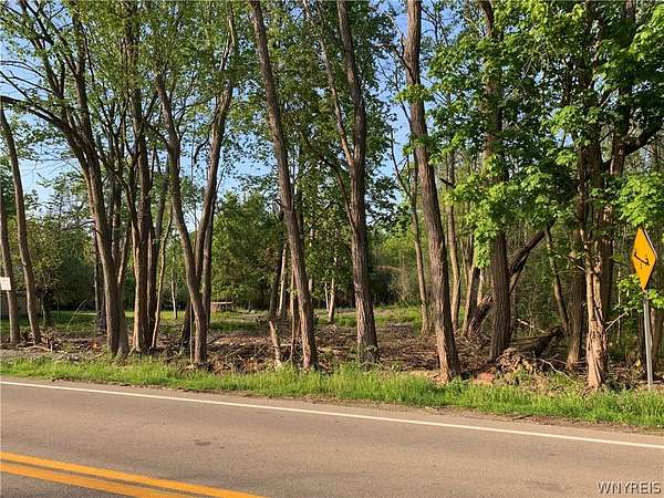 0.33 Acres of Residential Land for Sale in Angola, New York