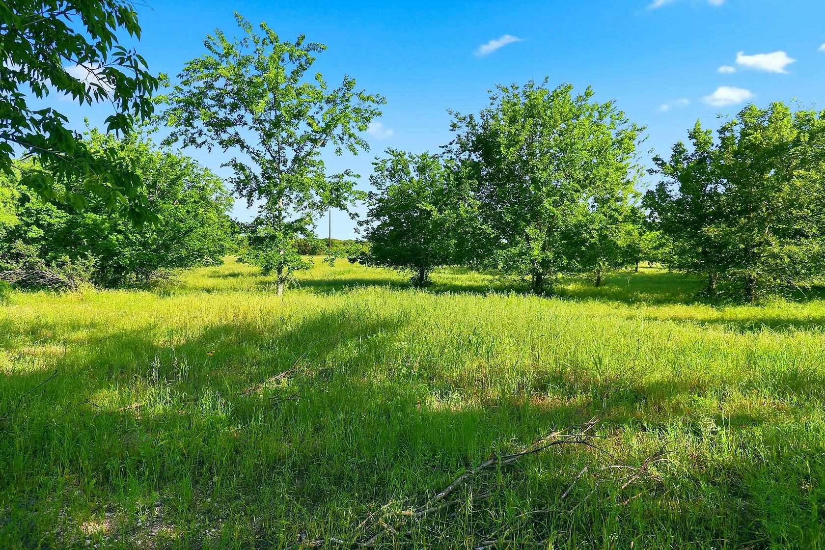 9.13 Acres of Residential Land for Sale in Burnet, Texas