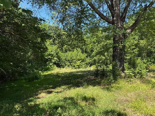 1 Acre of Residential Land for Sale in Phenix, Virginia
