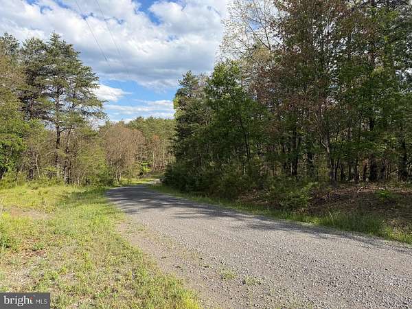 20 Acres of Recreational & Residential Land for Sale in Green Spring, West Virginia