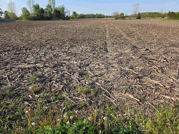 2 Acres of Land for Sale in Birch Run, Michigan