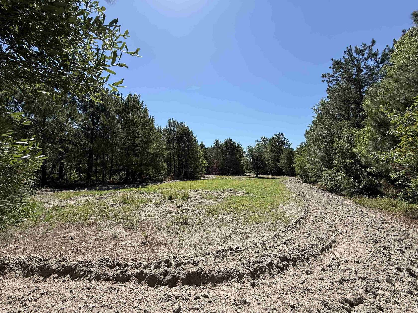 43 Acres of Recreational & Residential Land for Sale in Manning, South Carolina