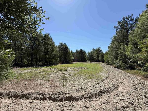 43 Acres of Recreational & Residential Land for Sale in Manning, South Carolina