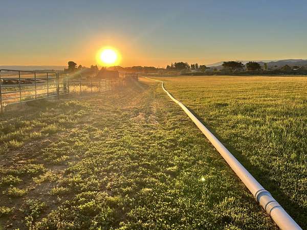 9.85 Acres of Land with Home for Sale in Montrose, Colorado