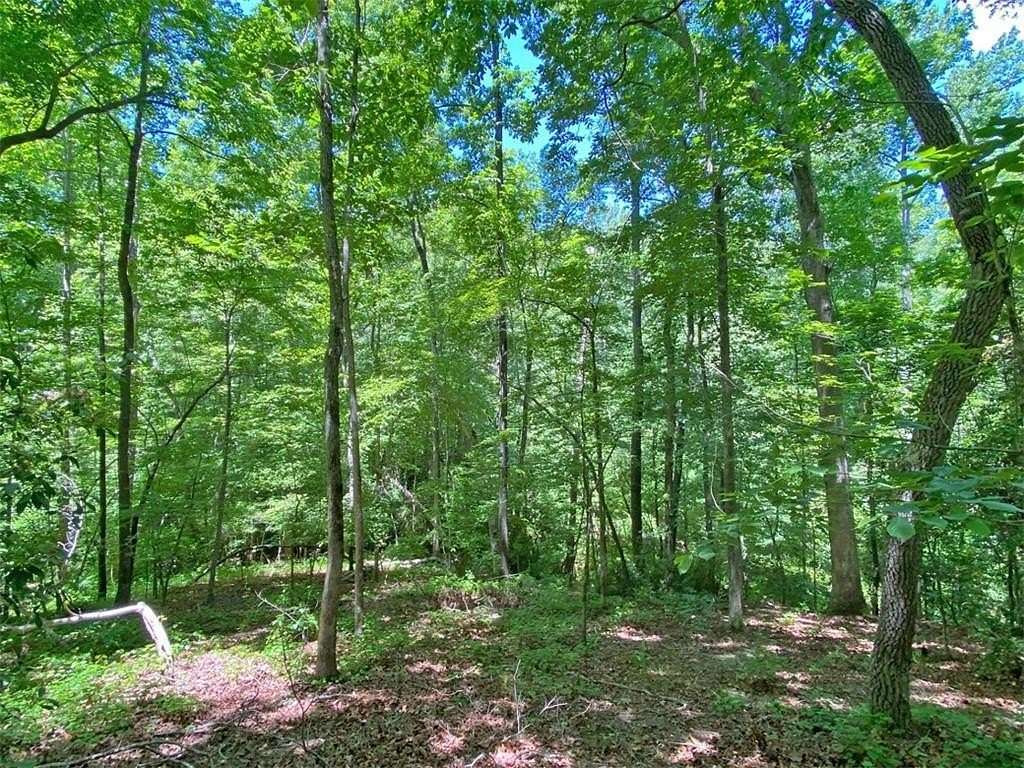 5 Acres of Residential Land for Sale in Dahlonega, Georgia
