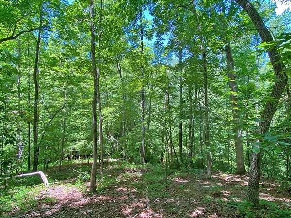 5 Acres of Residential Land for Sale in Dahlonega, Georgia