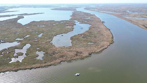 175 Acres of Recreational Land for Sale in Dulac, Louisiana