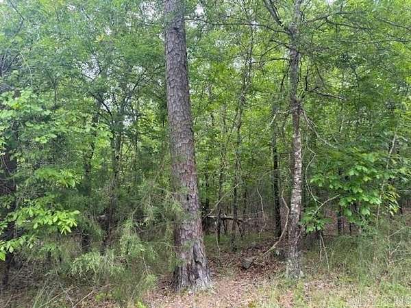 0.21 Acres of Land for Sale in Hot Springs Village, Arkansas