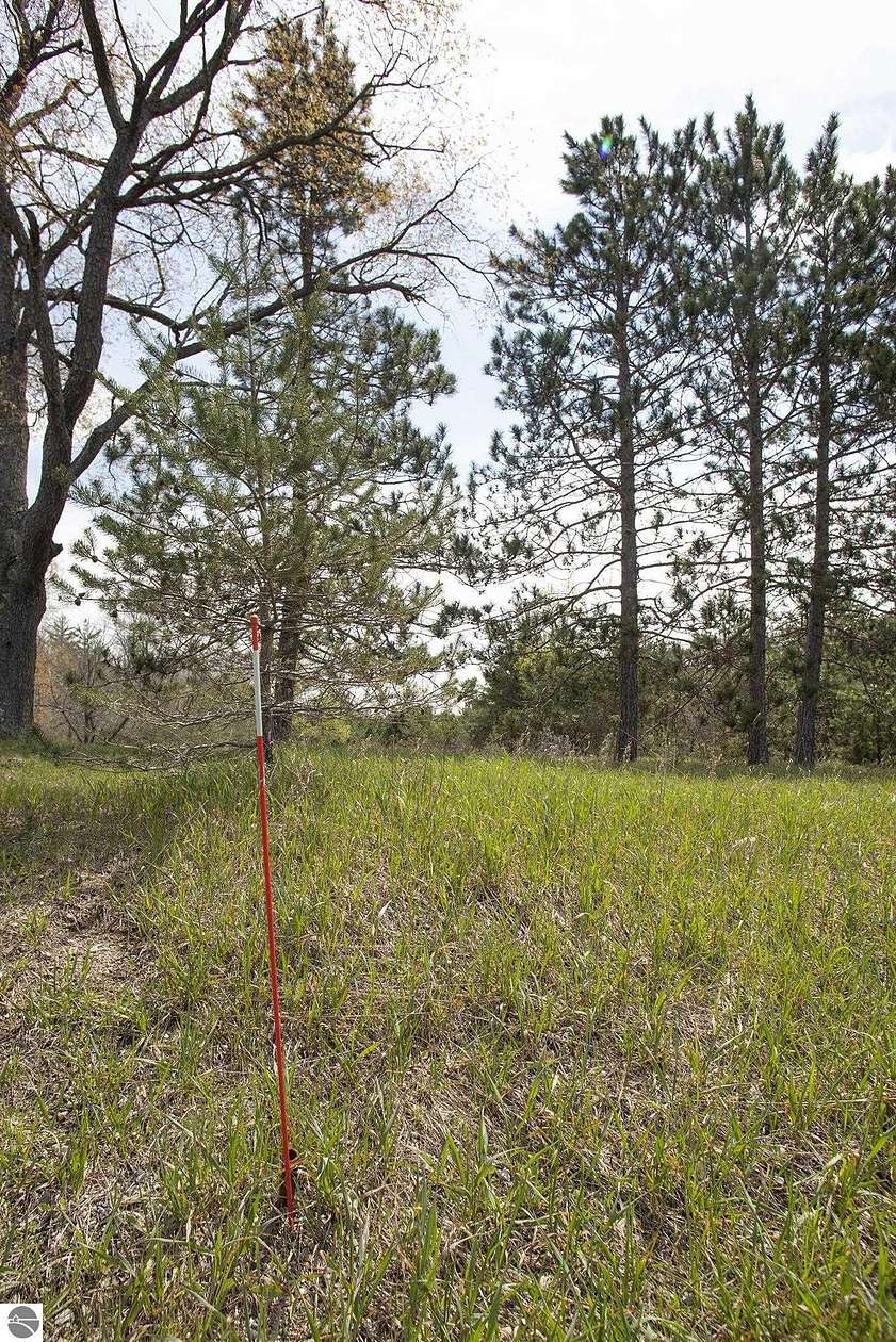 5 Acres of Residential Land for Sale in Fife Lake, Michigan