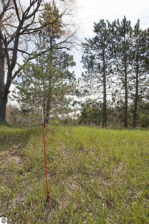5 Acres of Residential Land for Sale in Fife Lake, Michigan