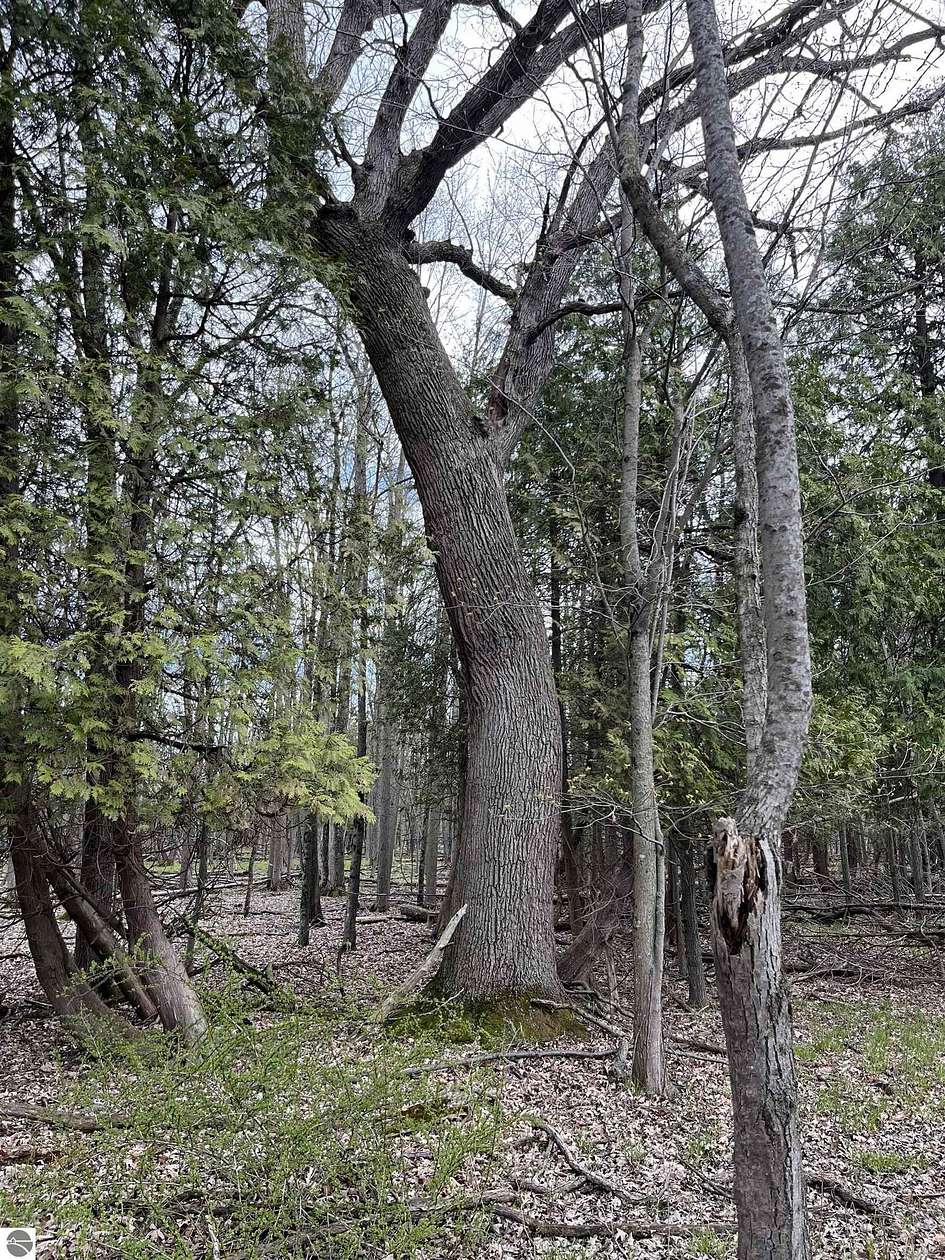47 Acres of Land for Sale in Standish, Michigan