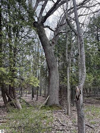 47 Acres of Land for Sale in Standish, Michigan