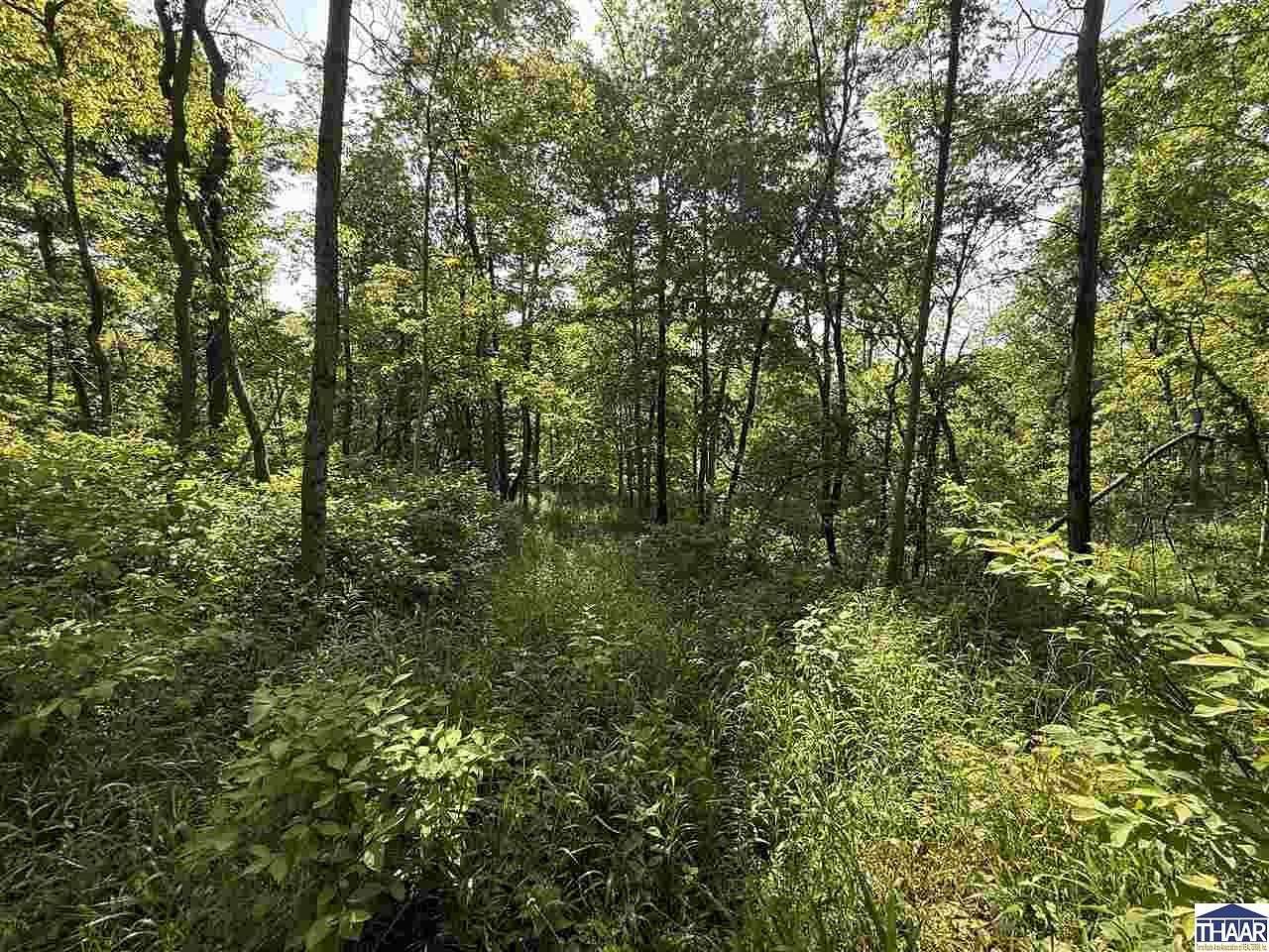 13 Acres of Recreational & Residential Land for Sale in Brazil, Indiana
