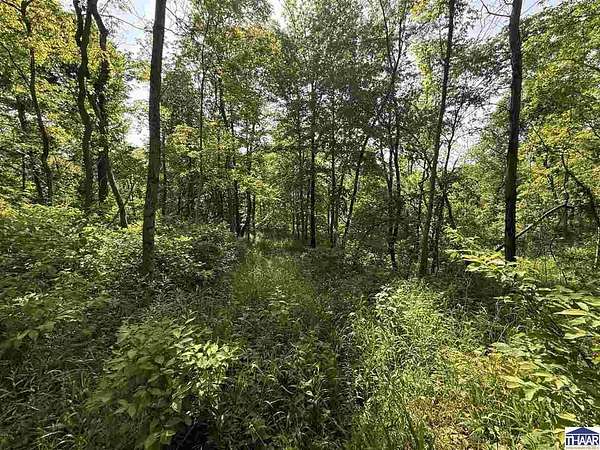 13 Acres of Recreational & Residential Land for Sale in Brazil, Indiana