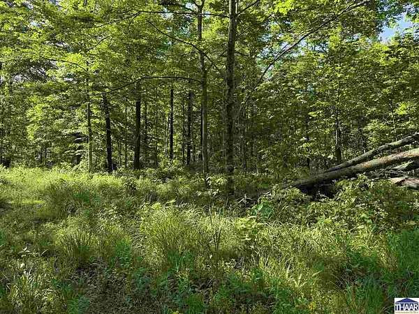 11.9 Acres of Recreational & Residential Land for Sale in Brazil, Indiana