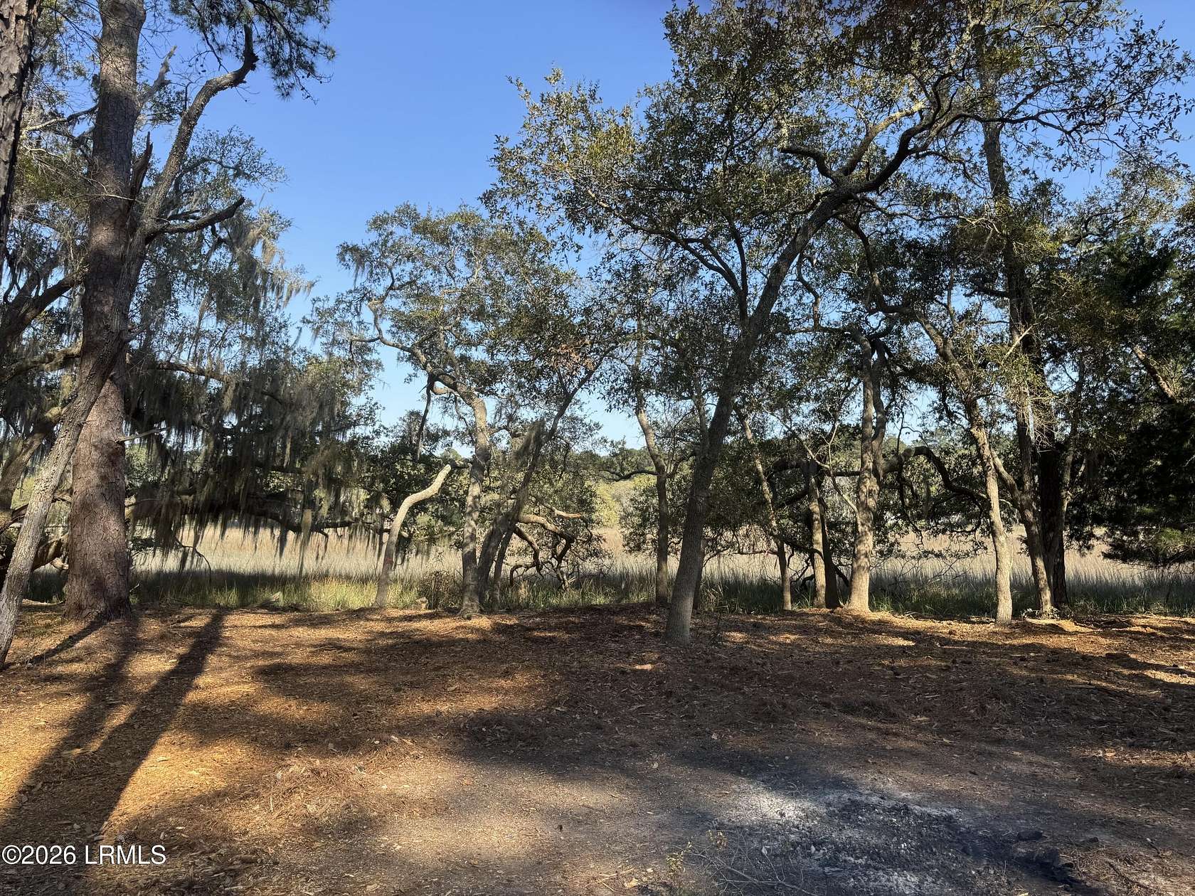 0.5 Acres of Residential Land for Sale in Beaufort, South Carolina