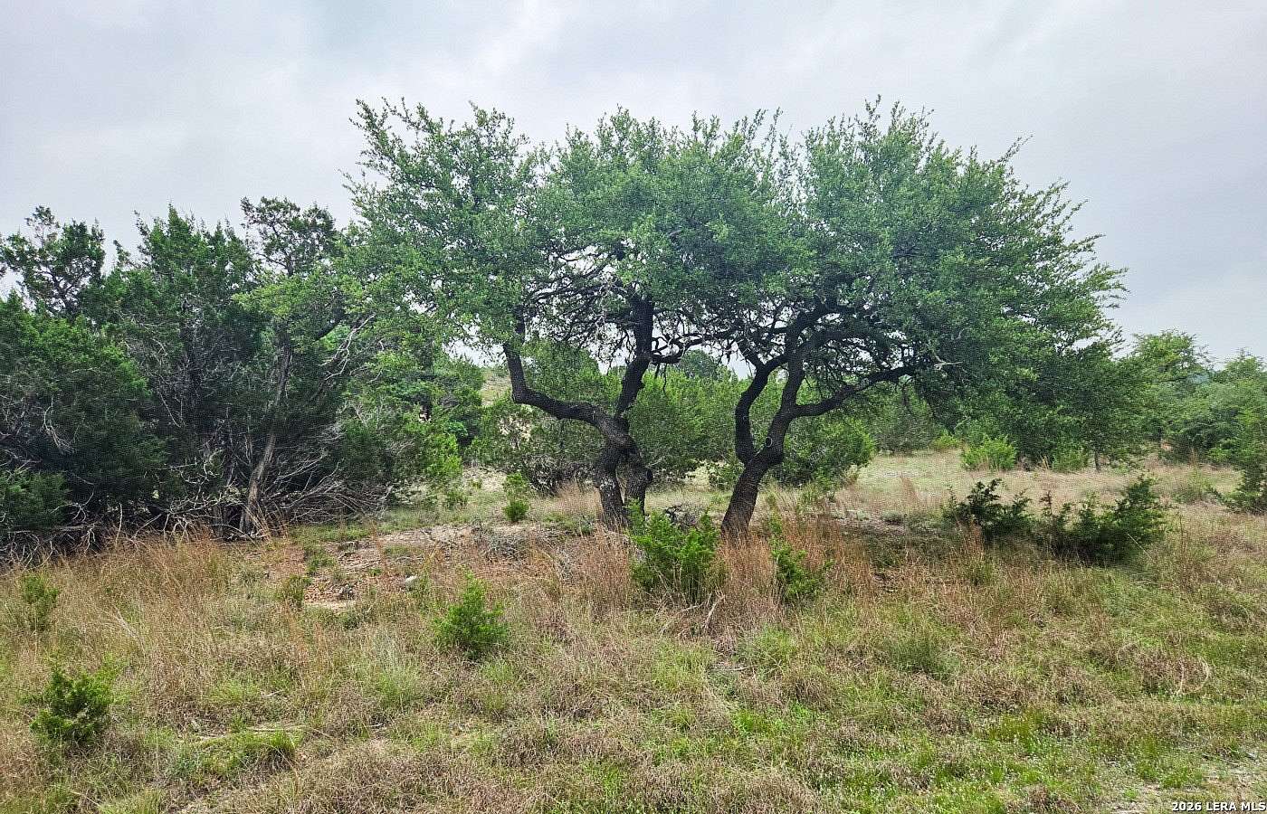 5 Acres of Land for Sale in Blanco, Texas