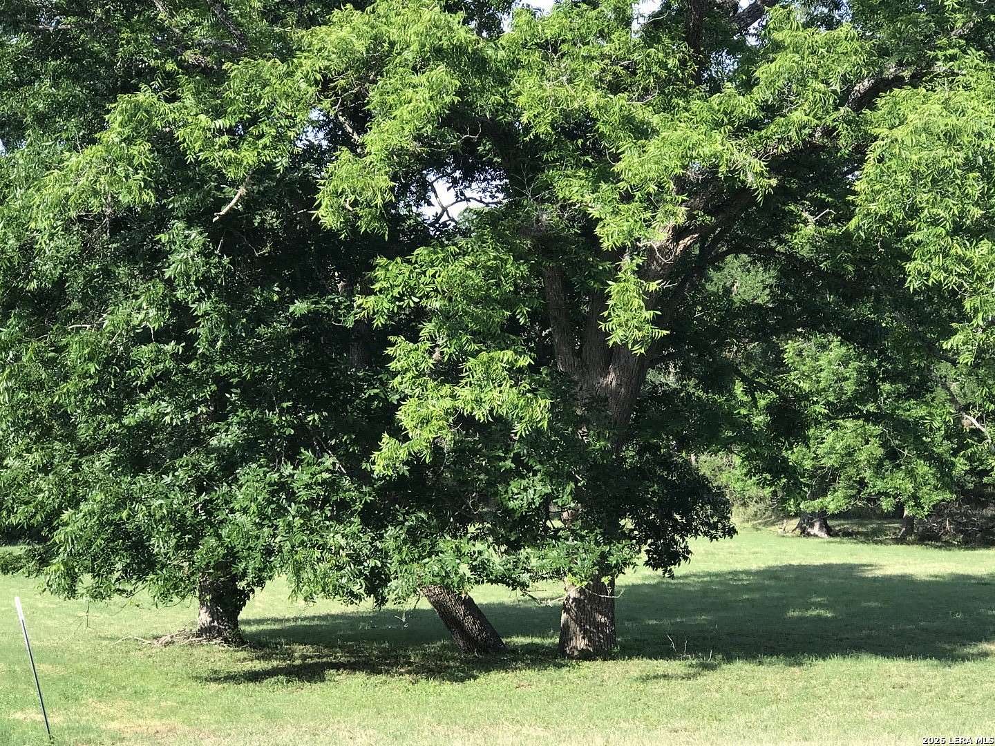 1.23 Acres of Residential Land for Sale in Boerne, Texas