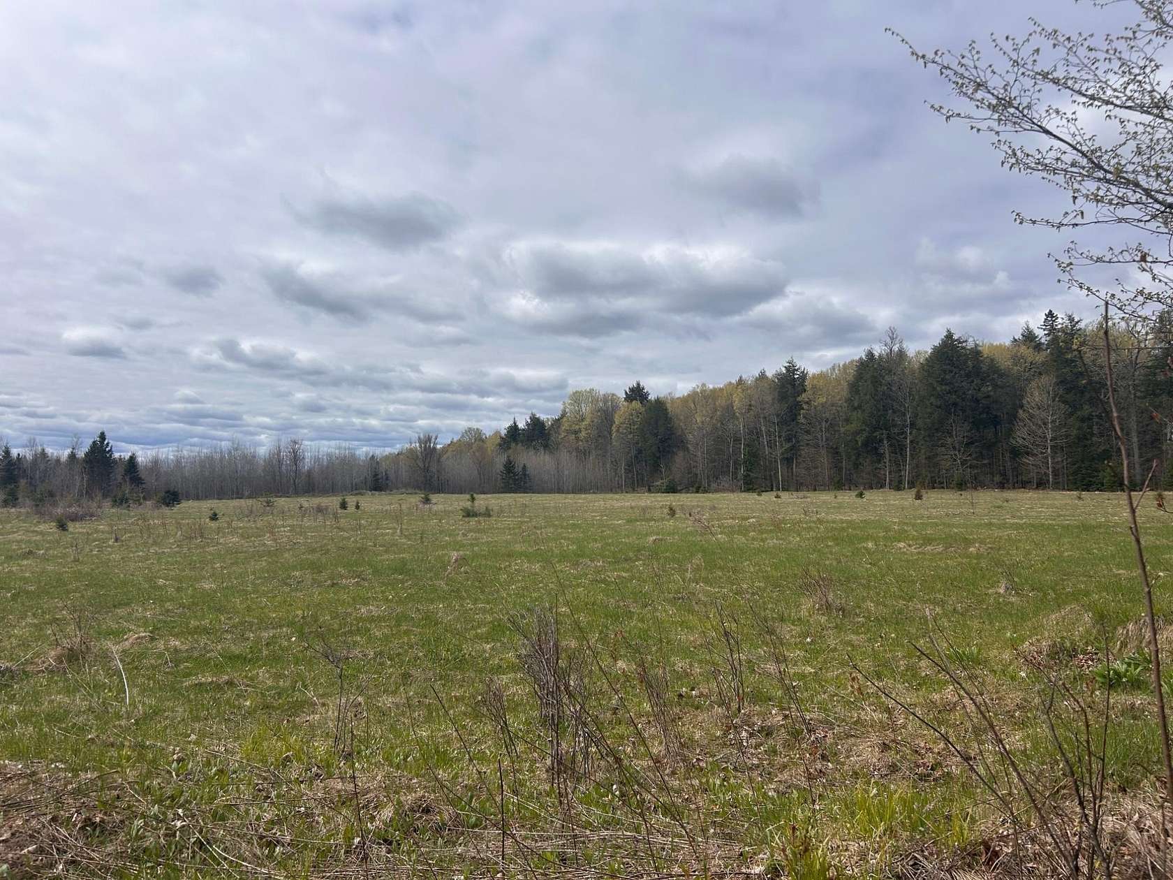 40 Acres of Land for Sale in Florence, Wisconsin