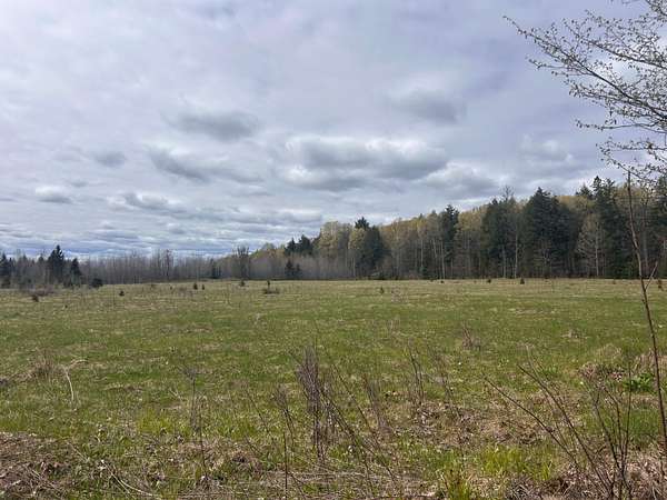 40 Acres of Land for Sale in Florence, Wisconsin