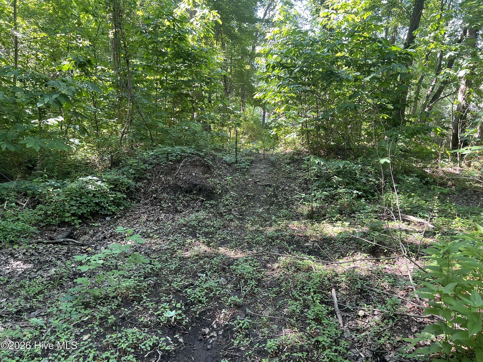 0.91 Acres of Residential Land for Sale in Moyock, North Carolina