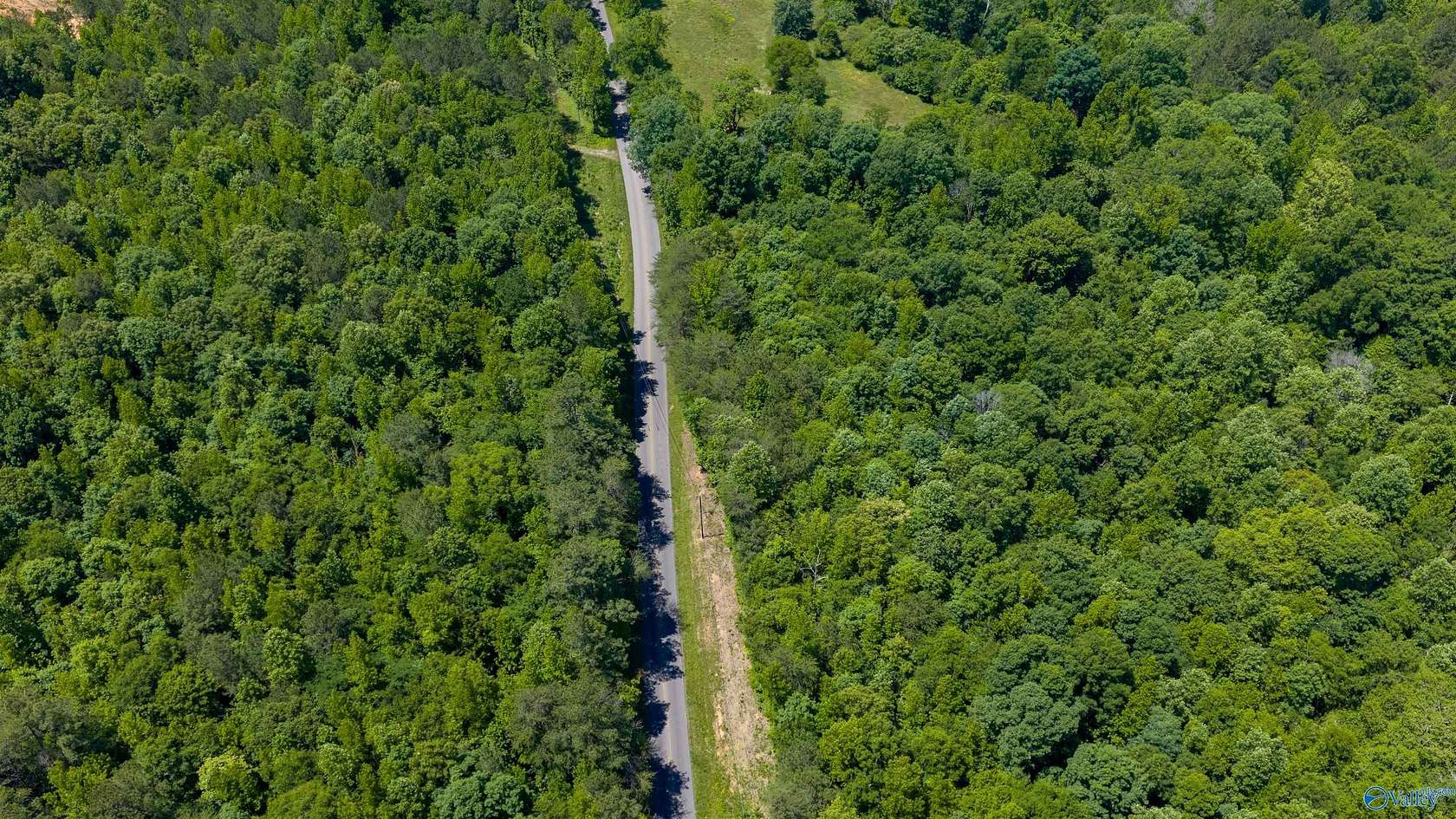 53 Acres of Recreational & Residential Land for Auction in Steele, Alabama