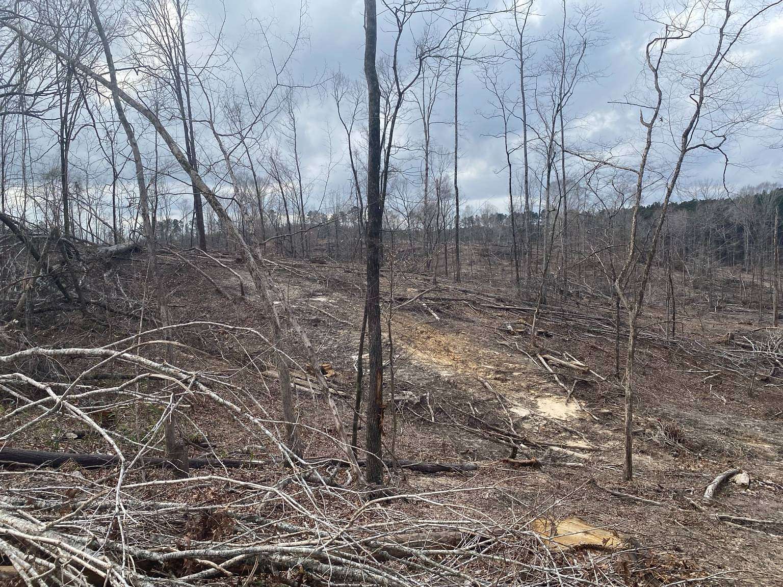 85 Acres of Recreational & Residential Land for Sale in Camden, Mississippi