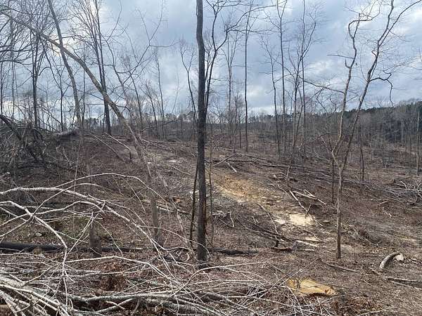 85 Acres of Recreational & Residential Land for Sale in Camden, Mississippi