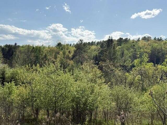 22.8 Acres of Recreational Land for Sale in Orland, Maine