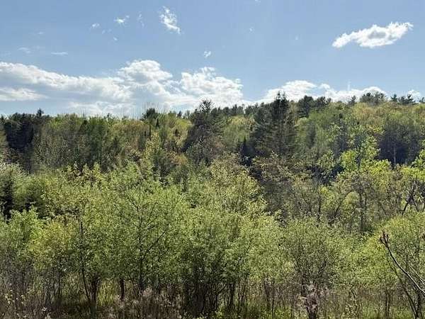 22.8 Acres of Recreational Land for Sale in Orland, Maine