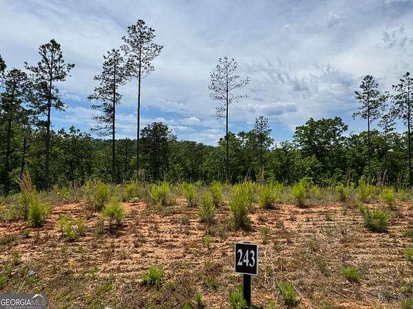 5.58 Acres of Residential Land for Sale in Talking Rock, Georgia