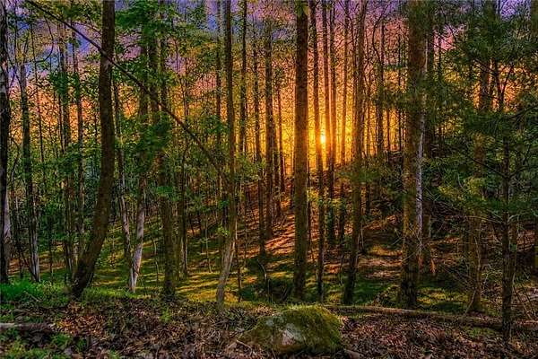 1.3 Acres of Residential Land for Sale in Ellijay, Georgia