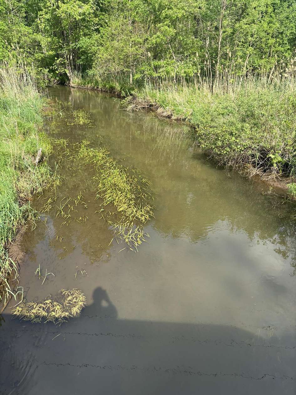 78.8 Acres of Land for Sale in Tekonsha, Michigan