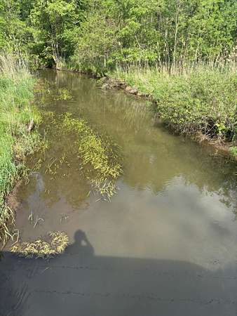 78.8 Acres of Land for Sale in Tekonsha, Michigan