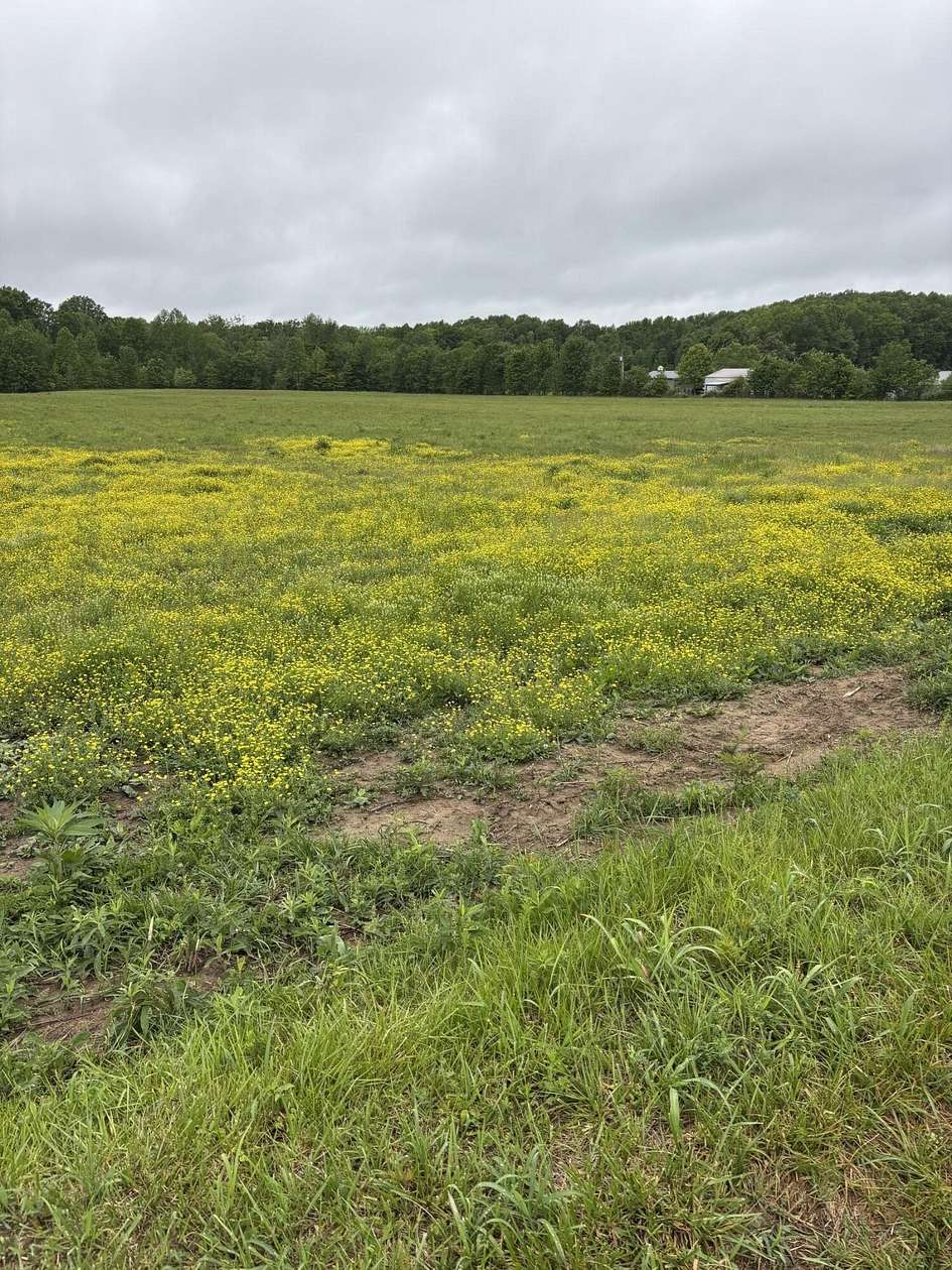 23.5 Acres of Recreational & Residential Land for Sale in Russell Springs, Kentucky