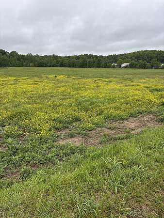 23.5 Acres of Recreational & Residential Land for Sale in Russell Springs, Kentucky