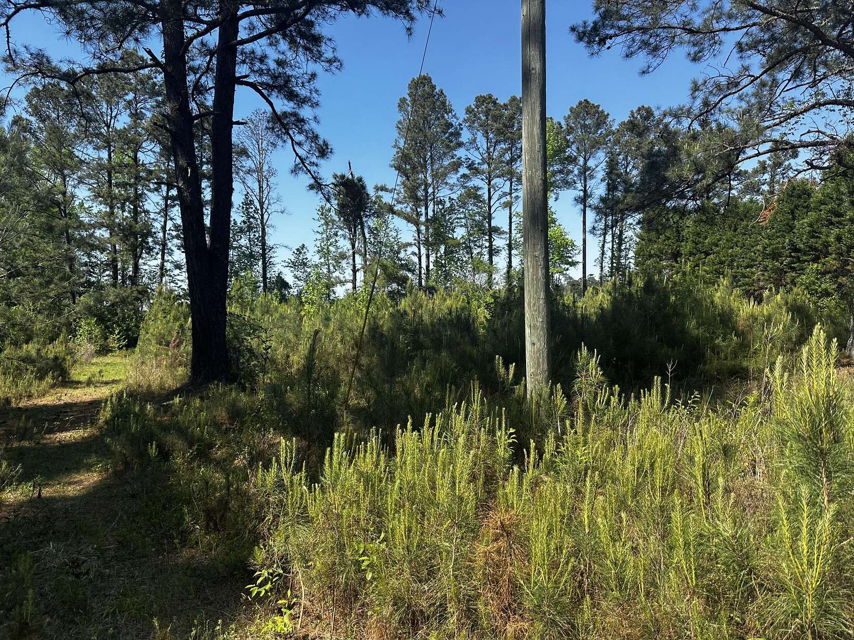 0.7 Acres of Residential Land for Sale in Sumter, South Carolina