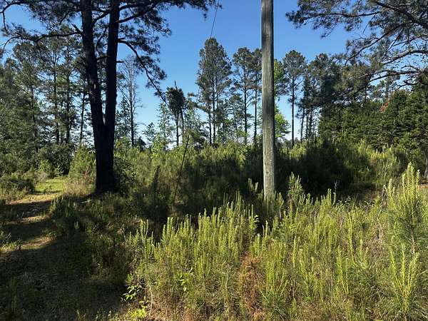 0.7 Acres of Residential Land for Sale in Sumter, South Carolina