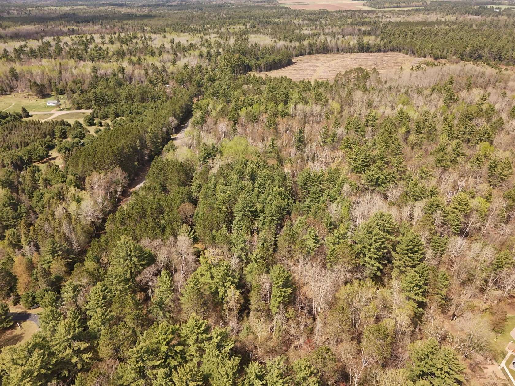 8.89 Acres of Residential Land for Sale in Eagle River, Wisconsin